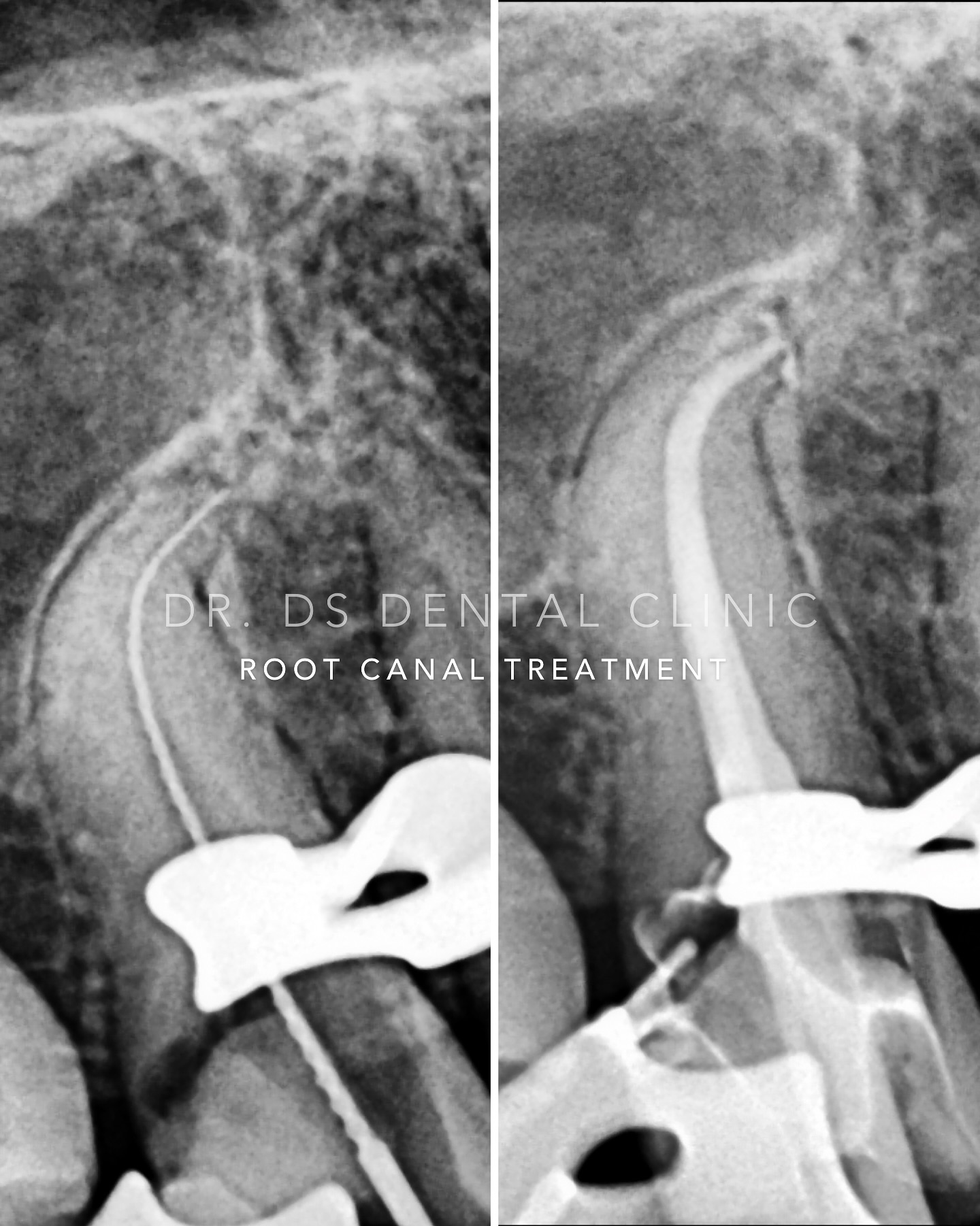 Patient consultation